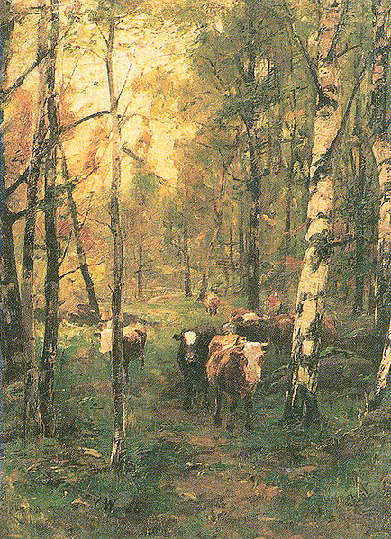 Cows in a birchwood